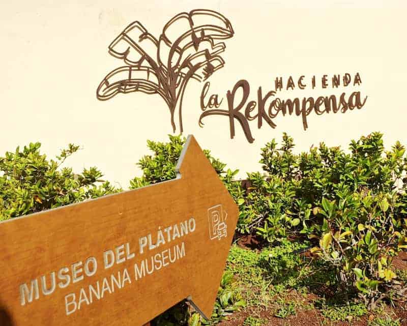 La Rekompensa - platano museum